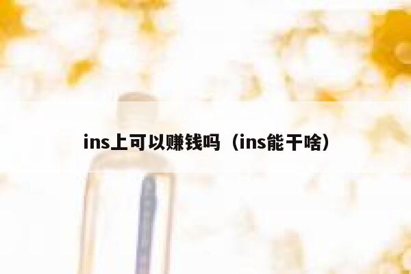 ins上可以赚钱吗（ins能干啥） 第1张