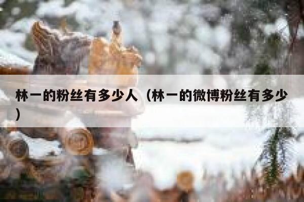 林一的粉丝有多少人(林一的微博粉丝有多少) 第1张 林一的粉丝有多少人(林一的微博粉丝有多少) 第1张