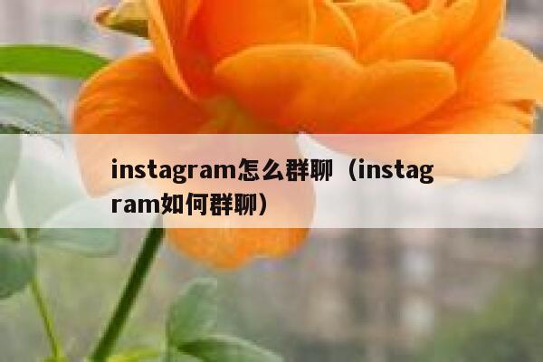 instagram怎么群聊（instagram如何群聊） 第1张