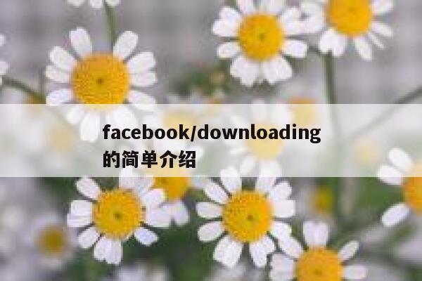 facebook/downloading的简单介绍 第1张 facebook/downloading的简单介绍 第1张