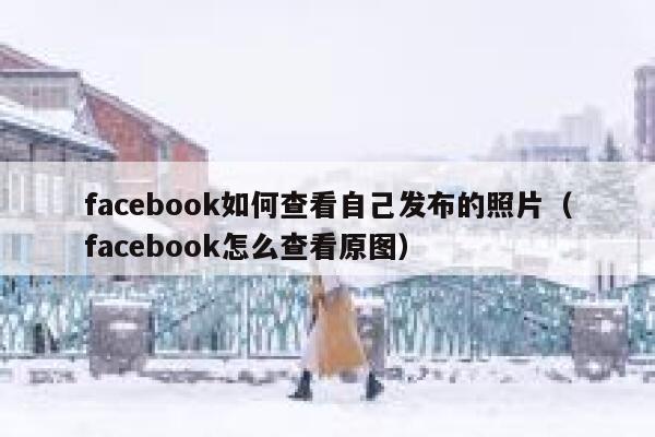 facebook如何查看自己发布的照片(facebook怎么查看原图) 第1张 facebook如何查看自己发布的照片(facebook怎么查看原图) 第1张