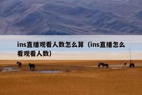 ins直播观看人数怎么算(ins直播怎么看观看人数) 第1张 ins直播观看人数怎么算(ins直播怎么看观看人数) 第1张