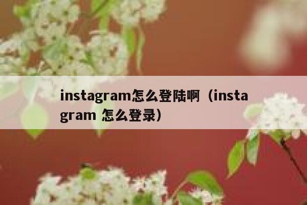 instagram怎么登陆啊(instagram 怎么登录) 第1张 instagram怎么登陆啊(instagram 怎么登录) 第1张