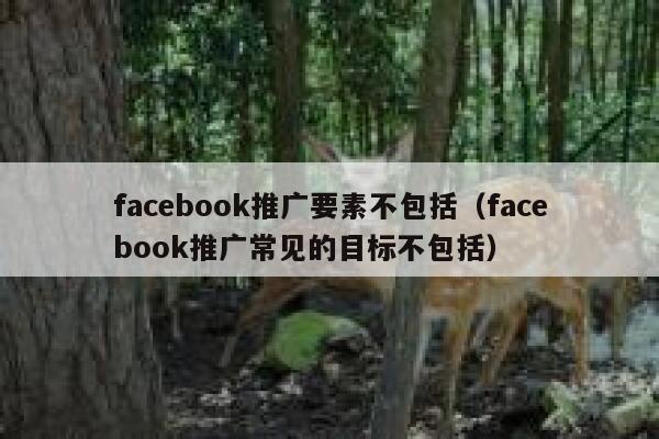 facebook推广要素不包括（facebook推广常见的目标不包括） 第1张
