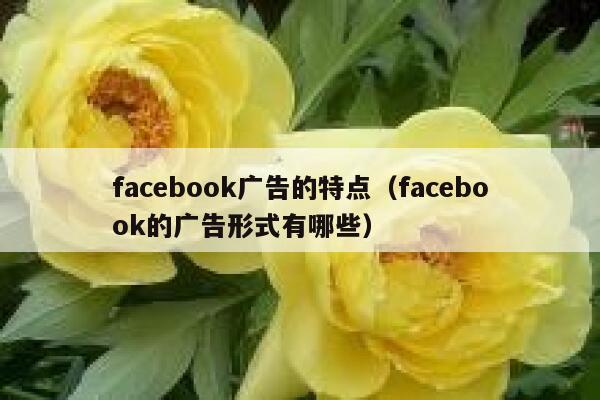 facebook广告的特点（facebook的广告形式有哪些） 第1张
