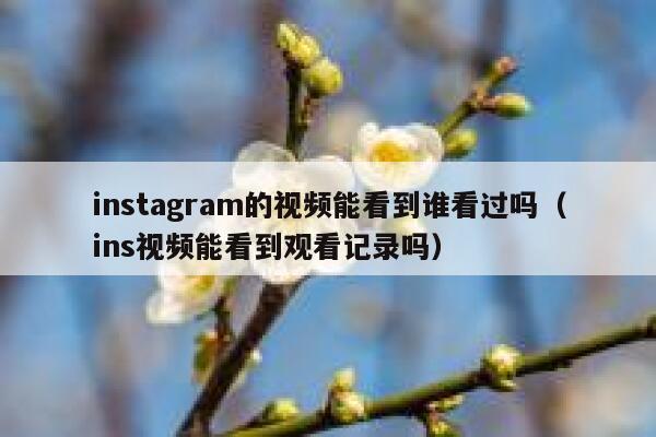 instagram的视频能看到谁看过吗（ins视频能看到观看记录吗） 第1张