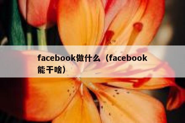 facebook做什么(facebook能干啥) 第1张 facebook做什么(facebook能干啥) 第1张