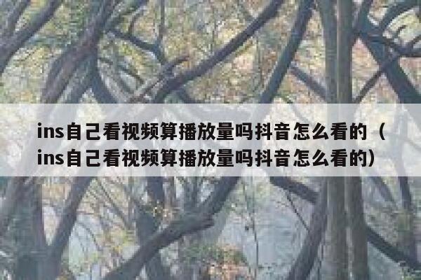 ins自己看视频算播放量吗抖音怎么看的（ins自己看视频算播放量吗抖音怎么看的） 第1张
