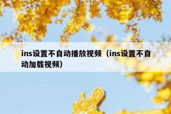 ins设置不自动播放视频(ins设置不自动加载视频) 第1张 ins设置不自动播放视频(ins设置不自动加载视频) 第1张
