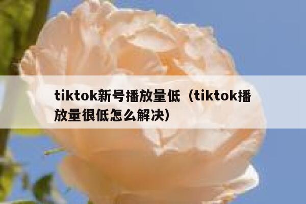 tiktok新号播放量低（tiktok播放量很低怎么解决） 第1张