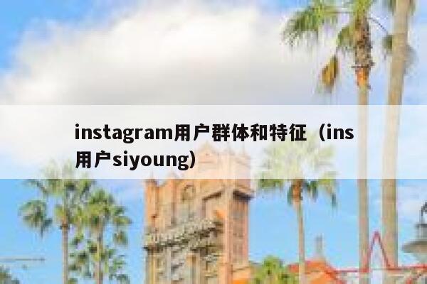 instagram用户群体和特征（ins用户siyoung） 第1张