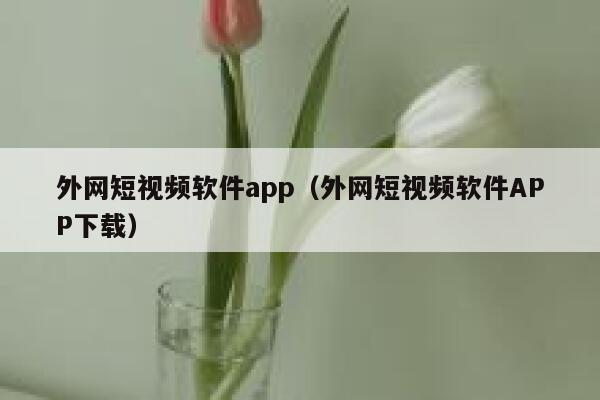 外网短视频软件app（外网短视频软件APP下载） 第1张