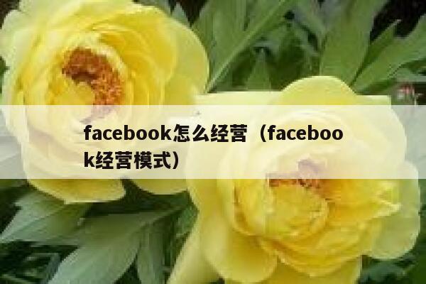 facebook怎么经营(facebook经营模式) 第1张 facebook怎么经营(facebook经营模式) 第1张