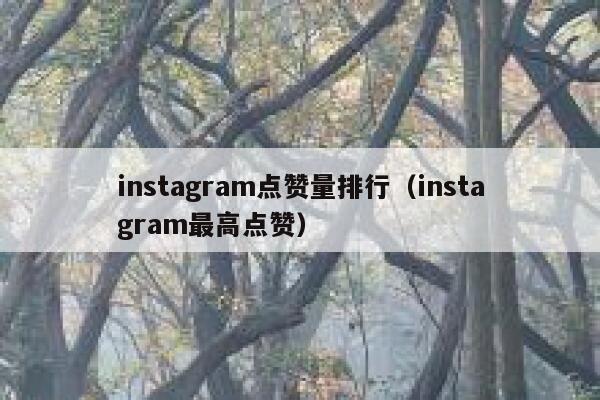 instagram点赞量排行(instagram最高点赞) 第1张 instagram点赞量排行(instagram最高点赞) 第1张