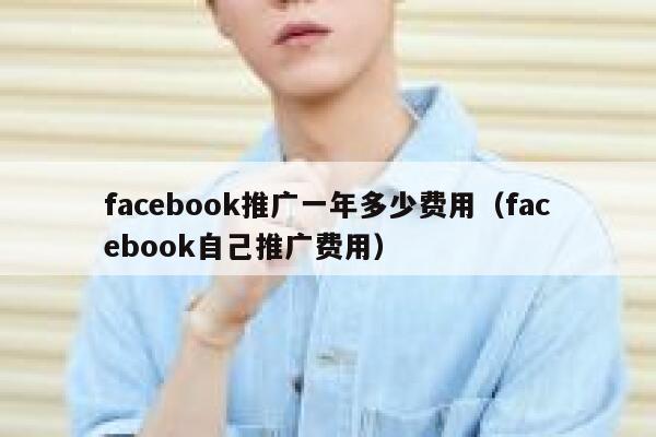 facebook推广一年多少费用(facebook自己推广费用) 第1张 facebook推广一年多少费用(facebook自己推广费用) 第1张