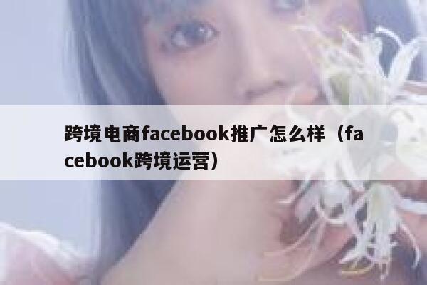 跨境电商facebook推广怎么样（facebook跨境运营） 第1张