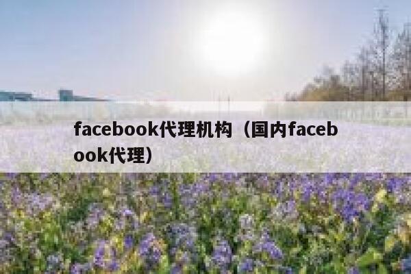 facebook代理机构（国内facebook代理） 第1张