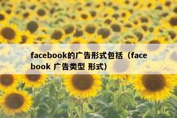 facebook的广告形式包括(facebook 广告类型 形式) 第1张 facebook的广告形式包括(facebook 广告类型 形式) 第1张