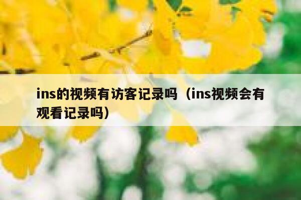 ins的视频有访客记录吗（ins视频会有观看记录吗） 第1张