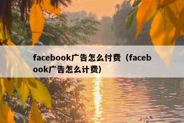 facebook广告怎么付费(facebook广告怎么计费) 第1张 facebook广告怎么付费(facebook广告怎么计费) 第1张