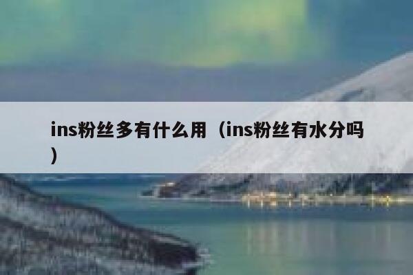 ins粉丝多有什么用（ins粉丝有水分吗） 第1张
