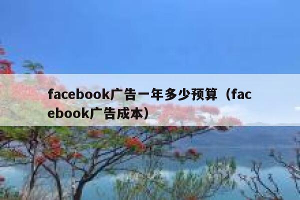 facebook广告一年多少预算（facebook广告成本） 第1张