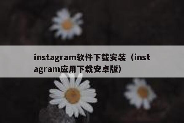 instagram软件下载安装（instagram应用下载安卓版） 第1张