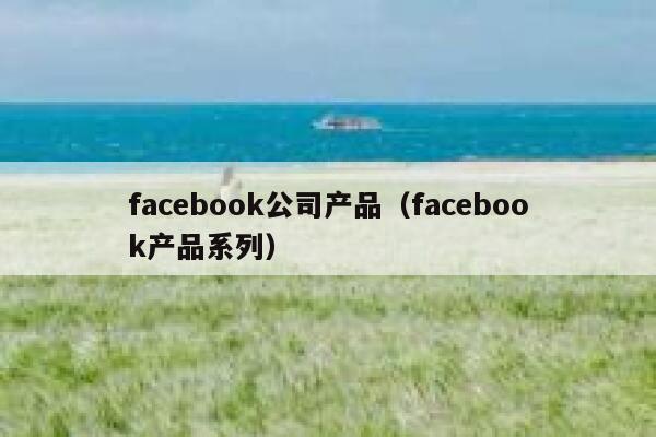 facebook公司产品（facebook产品系列） 第1张