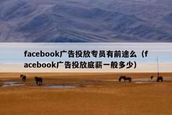 facebook广告投放专员有前途么（facebook广告投放底薪一般多少） 第1张