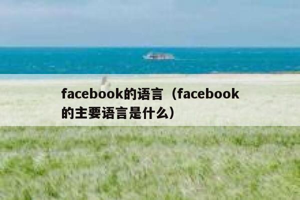 facebook的语言（facebook的主要语言是什么） 第1张