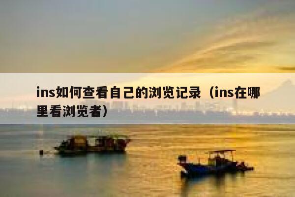 ins如何查看自己的浏览记录（ins在哪里看浏览者） 第1张