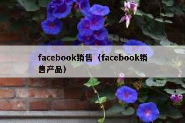 facebook销售（facebook销售产品） 第1张