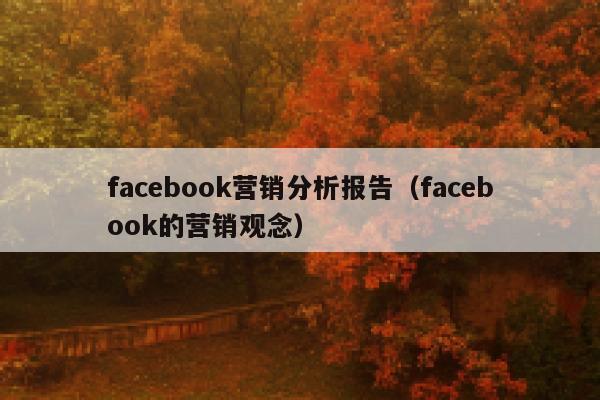 facebook营销分析报告（facebook的营销观念） 第1张