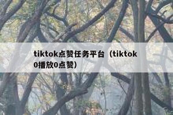 tiktok点赞任务平台（tiktok 0播放0点赞） 第1张