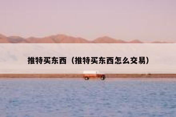 推特买东西（推特买东西怎么交易） 第1张