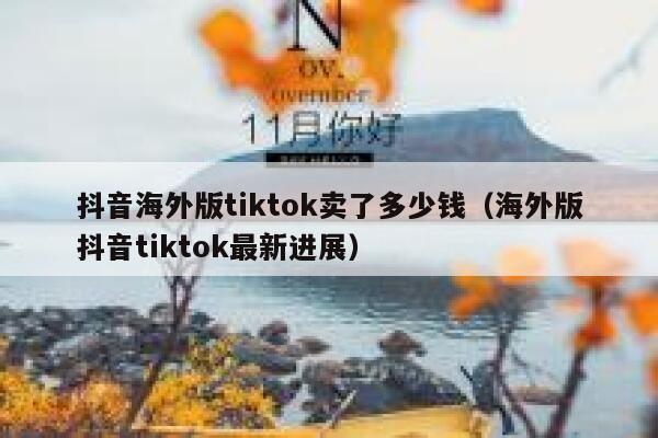 抖音海外版tiktok卖了多少钱（海外版抖音tiktok最新进展） 第1张