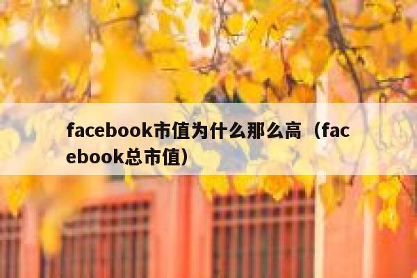 facebook市值为什么那么高（facebook总市值） 第1张