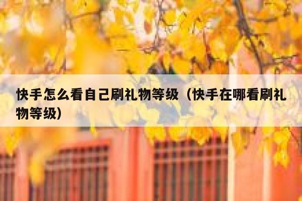 快手怎么看自己刷礼物等级（快手在哪看刷礼物等级） 第1张