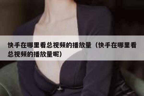 快手在哪里看总视频的播放量(快手在哪里看总视频的播放量呢) 第1张 快手在哪里看总视频的播放量(快手在哪里看总视频的播放量呢) 第1张