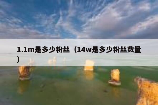 1.1m是多少粉丝（14w是多少粉丝数量） 第1张