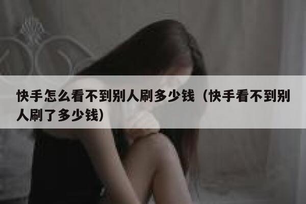快手怎么看不到别人刷多少钱（快手看不到别人刷了多少钱） 第1张