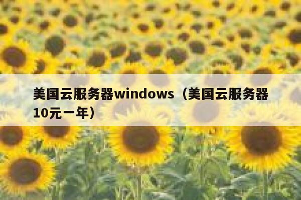 美国云服务器windows（美国云服务器10元一年） 第1张