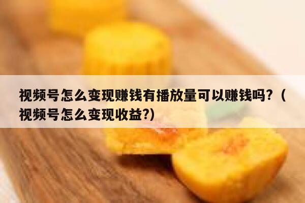 视频号怎么变现赚钱有播放量可以赚钱吗?(视频号怎么变现收益?) 第1张 视频号怎么变现赚钱有播放量可以赚钱吗?(视频号怎么变现收益?) 第1张