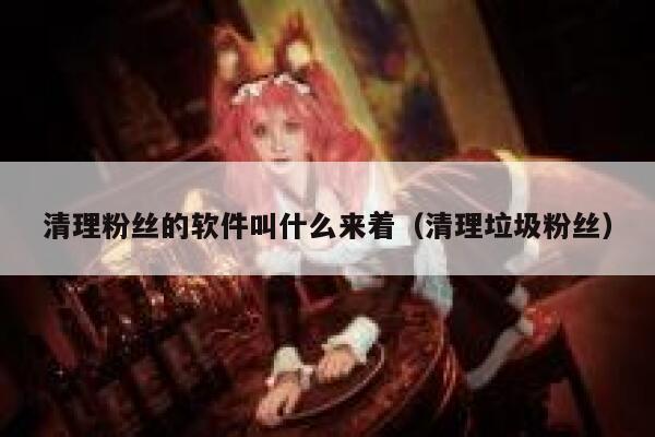 清理粉丝的软件叫什么来着（清理垃圾粉丝） 第1张
