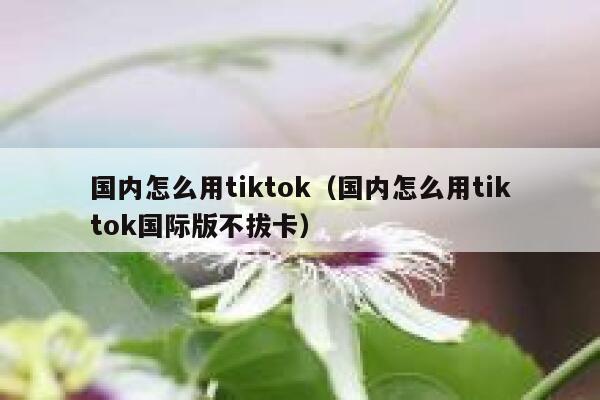 国内怎么用tiktok（国内怎么用tiktok国际版不拔卡） 第1张