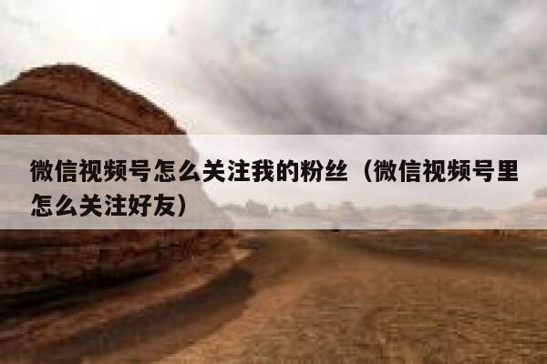 微信视频号怎么关注我的粉丝（微信视频号里怎么关注好友） 第1张