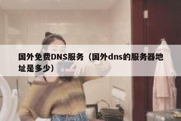 国外免费DNS服务（国外dns的服务器地址是多少） 第1张