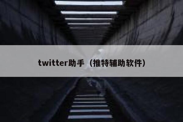 twitter助手（推特辅助软件） 第1张