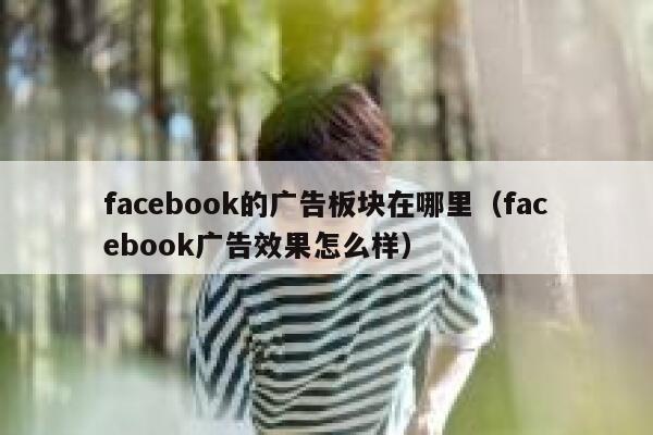 facebook的广告板块在哪里（facebook广告效果怎么样） 第1张