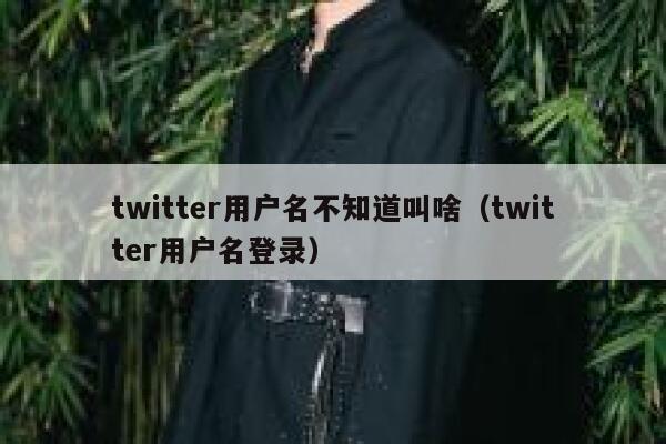 twitter用户名不知道叫啥（twitter用户名登录） 第1张